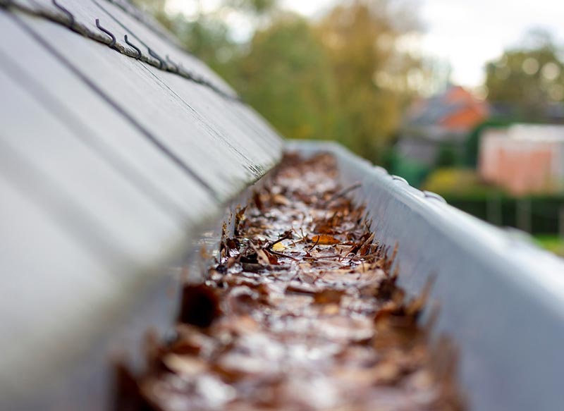 Gutter Cleaning Services